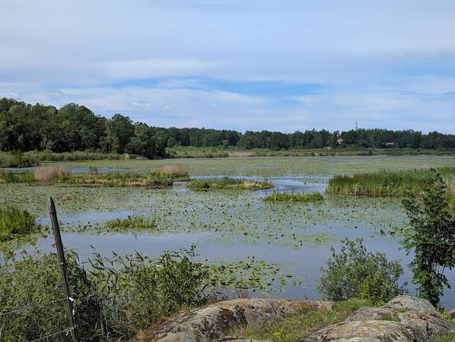 Ågesta Bird Observation Tower - Image 2