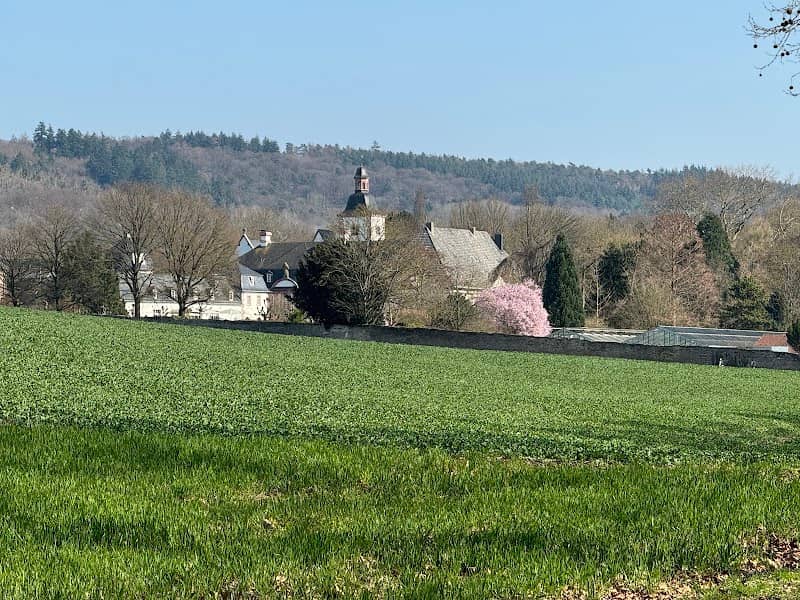 Alte Kastanie - Image 2