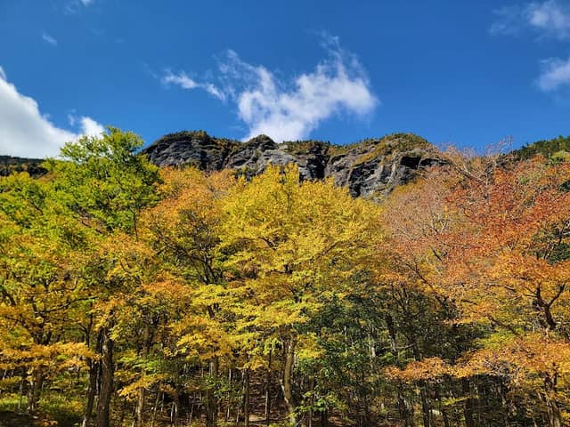 Top of the Notch Boulder - Image 1