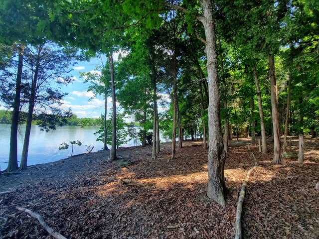 Lake Davidson Island - Image 2