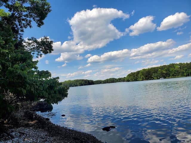 Lake Davidson Island - Image 1