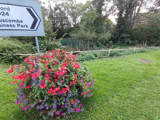 Twyford Pond - Image 2