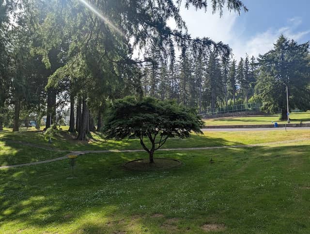 Sam Benn Park - Image 2