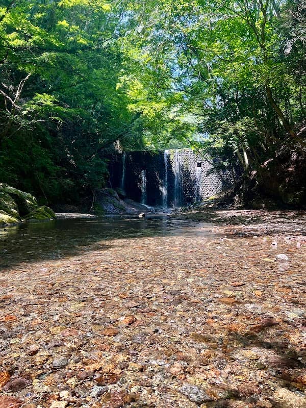 Matsutakeyama Natural Forest Park - Image 1