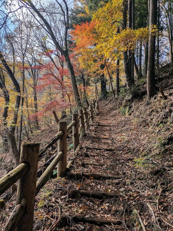 Matsutakeyama Natural Forest Park - Image 2