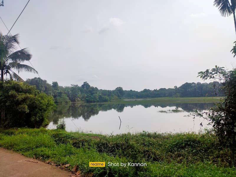 Mallappally Puncha - Image 1
