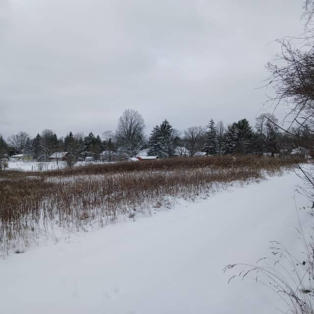 Eastwood Preserve - Image 1