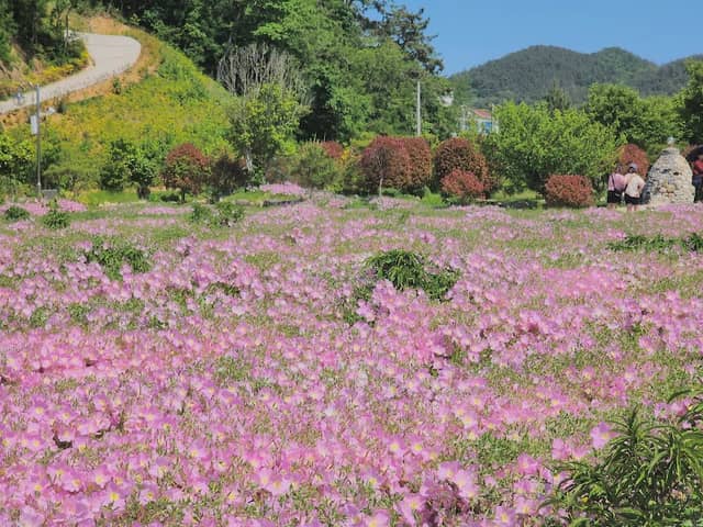 가야농장 (순천만 가야정원) - Image 1