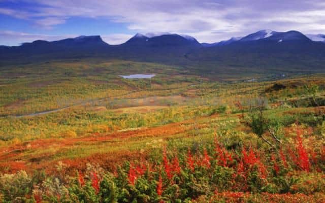 Abisko National Park - Image 1