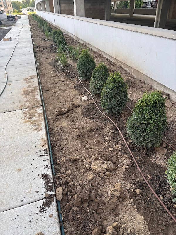 Luna irrigation - Image 2