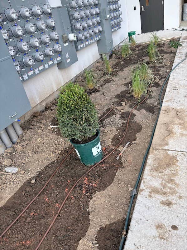 Luna irrigation - Image 3