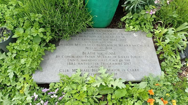 Bláth na hInse - Image 2