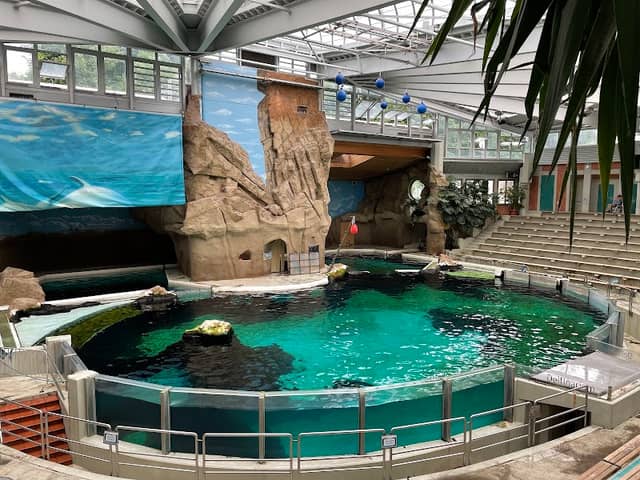 Duisburg Zoo - Image 1