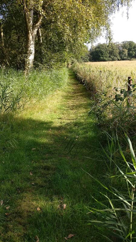 Moor Farm Nature Reserve - Image 1