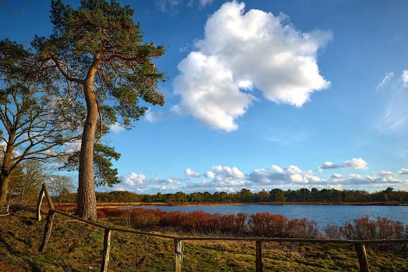Wollingster See - Image 1