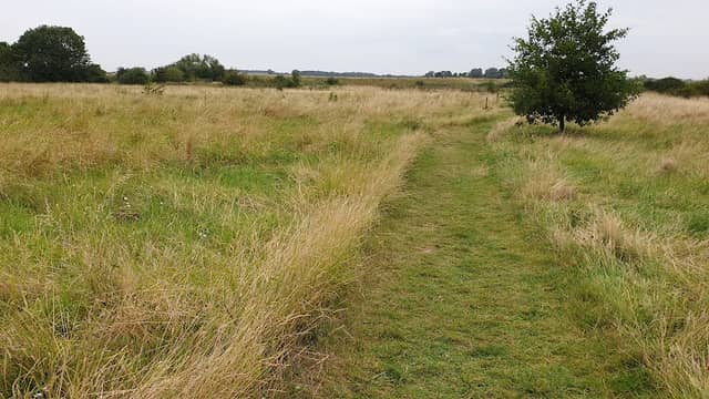 Barling Magna Wildlife Reserve - Image 1