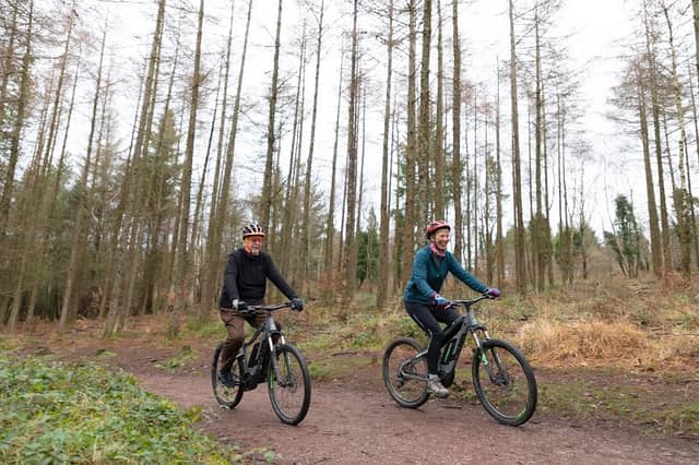 Haldon Forest Park - Forestry England - Image 1