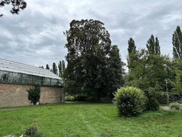 Palmenhauspark - Image 1