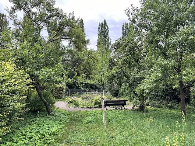 Palmenhauspark - Image 2