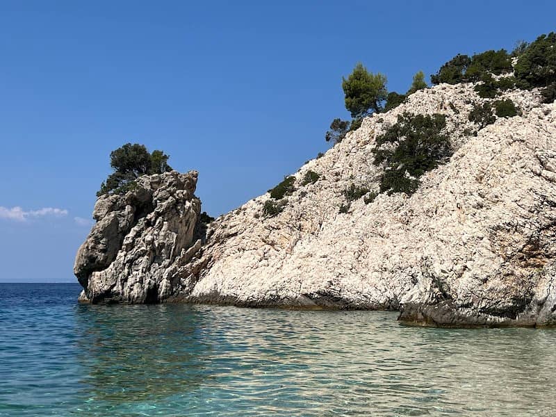 Plava Coxy - Image 1