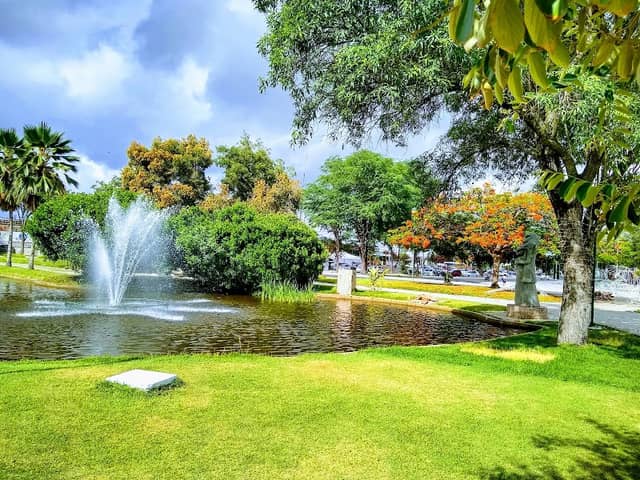 Square Of Mango Trees - Image 1