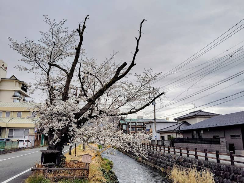 石和温泉 いで湯桜 - Image 1