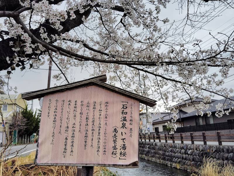 石和温泉 いで湯桜 - Image 2
