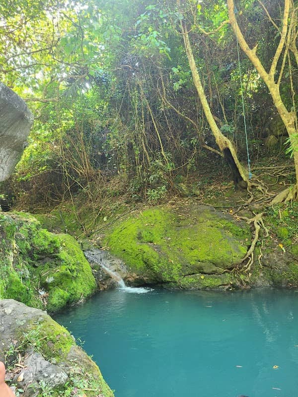 Bilog - Image 1