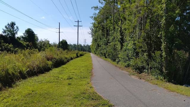 Woodland Path - Image 2