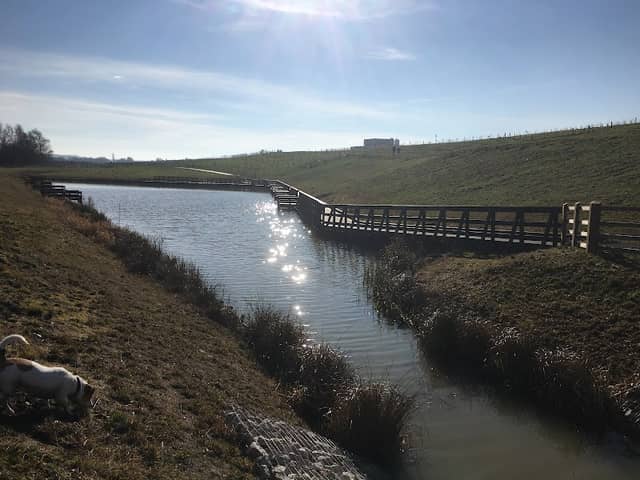 The Avenue Country Park - Image 1