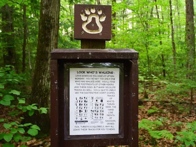 Upton-Morgan State Forest - Image 1