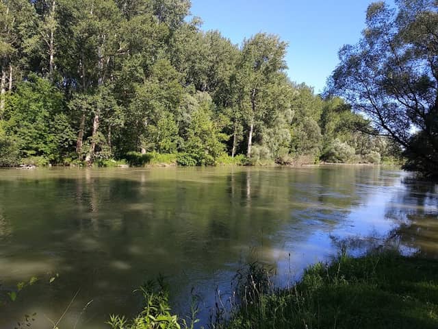 Lipót Vadludak - Image 2