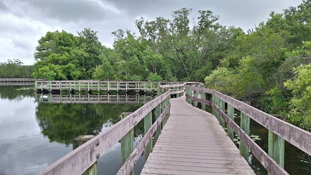 Largo Central Park Nature Preserve - Image 1
