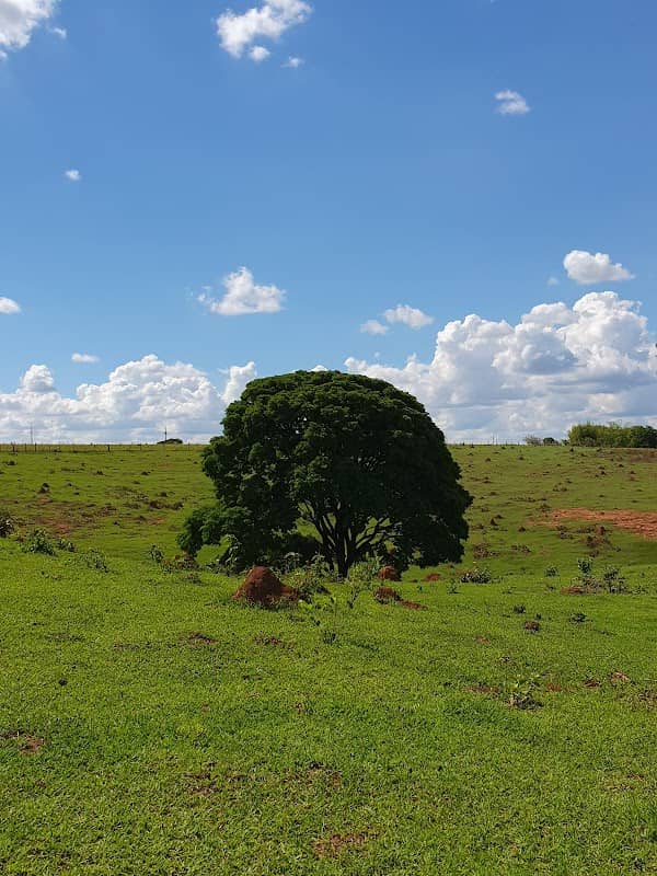 Voçoroca - Mogi Mirim - Image 1