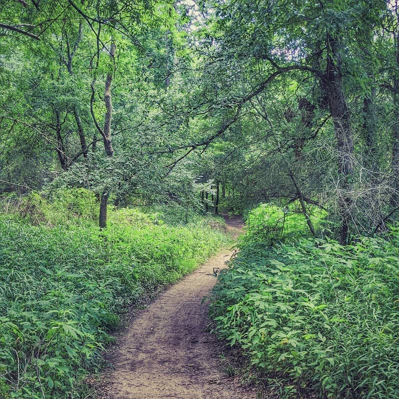 Oxnard Park - Image 2