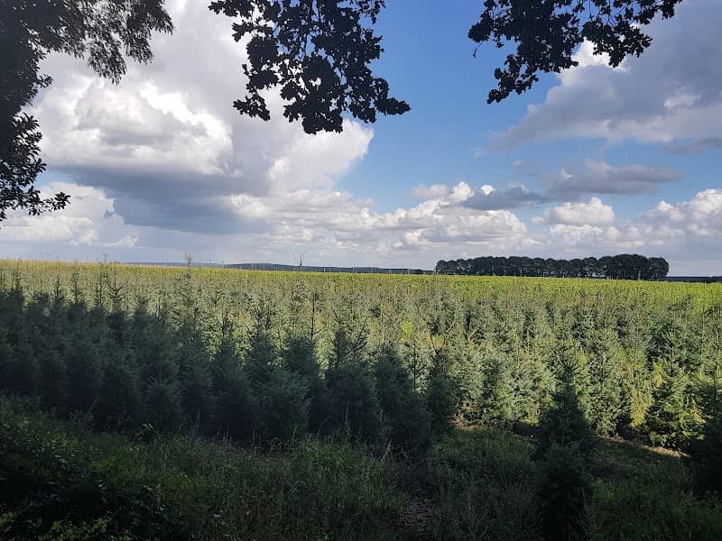 Landschap uit de ijstijd - Image 1
