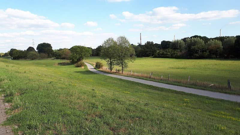 Rheinaue Friemersheim - Image 3