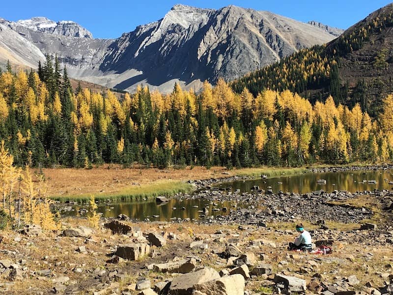 Highwood Pass Day Use - Image 3