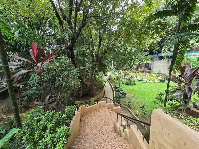 Kapitolyo Park 6 - Image 1