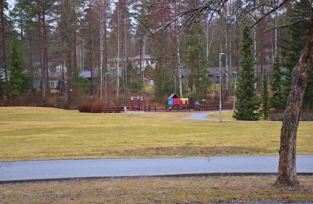 Keinupuunpuisto - Image 1