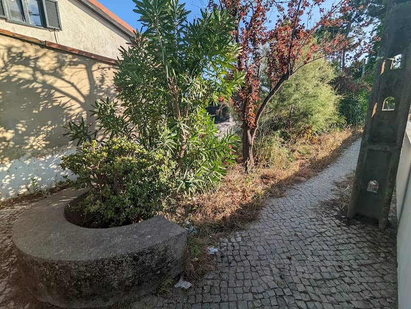 Patio da Aroeira Velha - Image 2