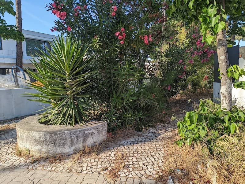 Patio da Aroeira Velha - Image 1