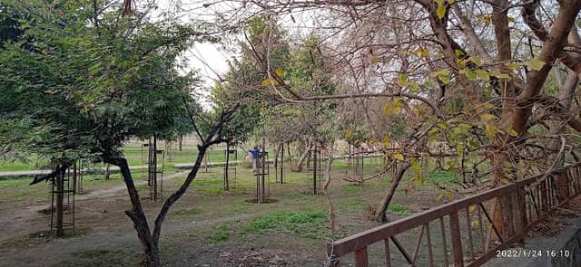 Park Noida - Image 2