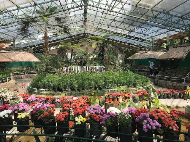 Flower Exhibition Centre - Ridge Park. - Image 1