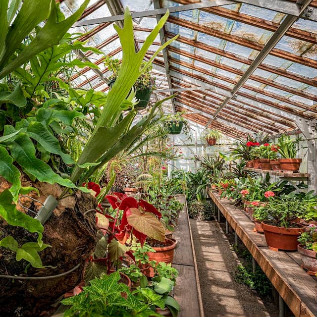 Friends of Bush Gardens - Image 1