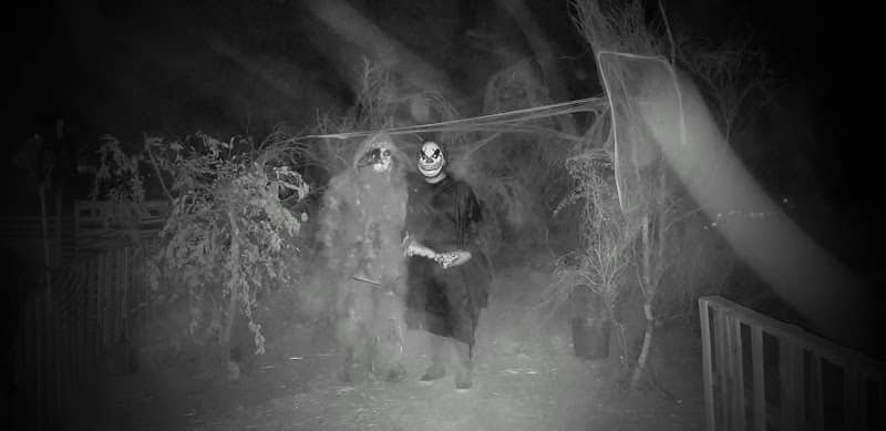 Superstition Asylum - Image 2