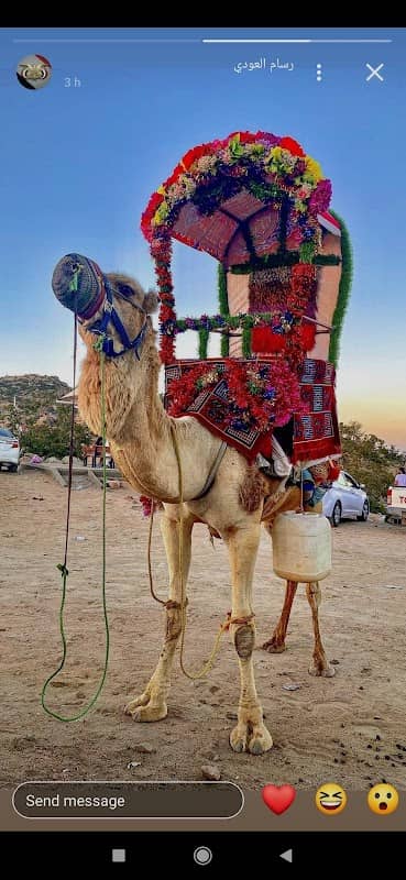 شارع الثقافة الخليل חנוח דרח culture way - Image 1