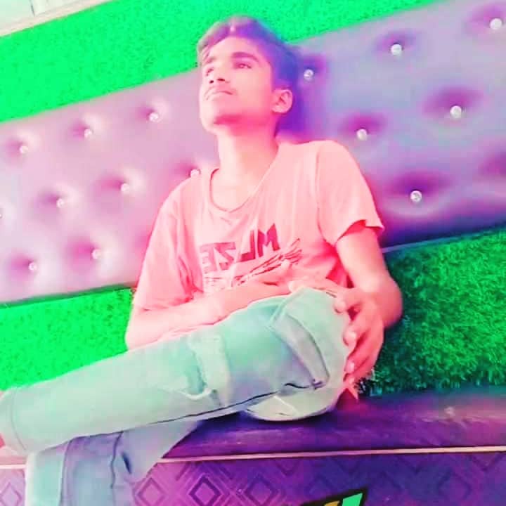 Holi Park - Image 1