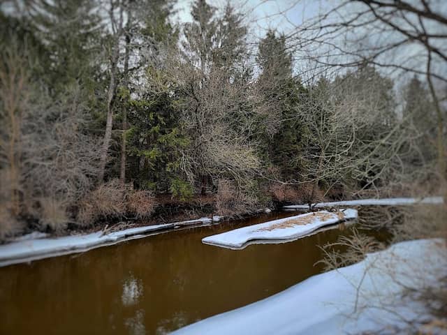 Whitewater Creek Nature Area - Image 1