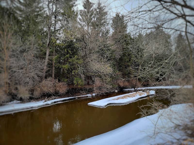 Whitewater Creek Nature Area - Image 1
